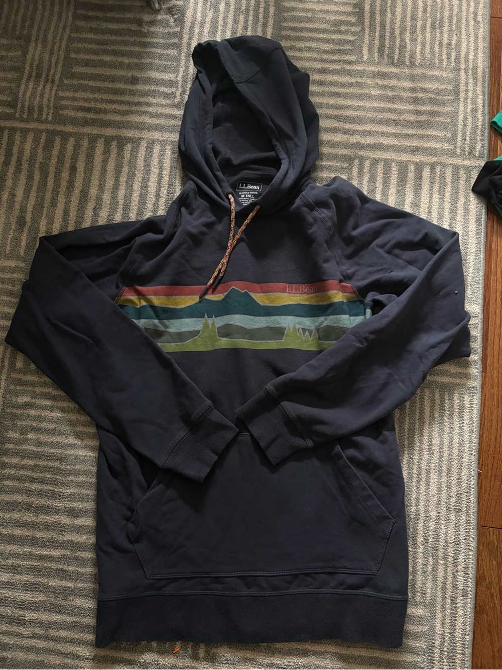 L.L. Bean Navy Hoodie with Multicolor Mountain Stripe